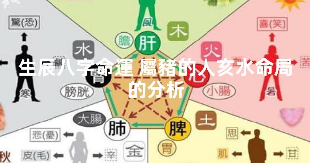 生辰八字命運 屬豬的人亥水命局的分析